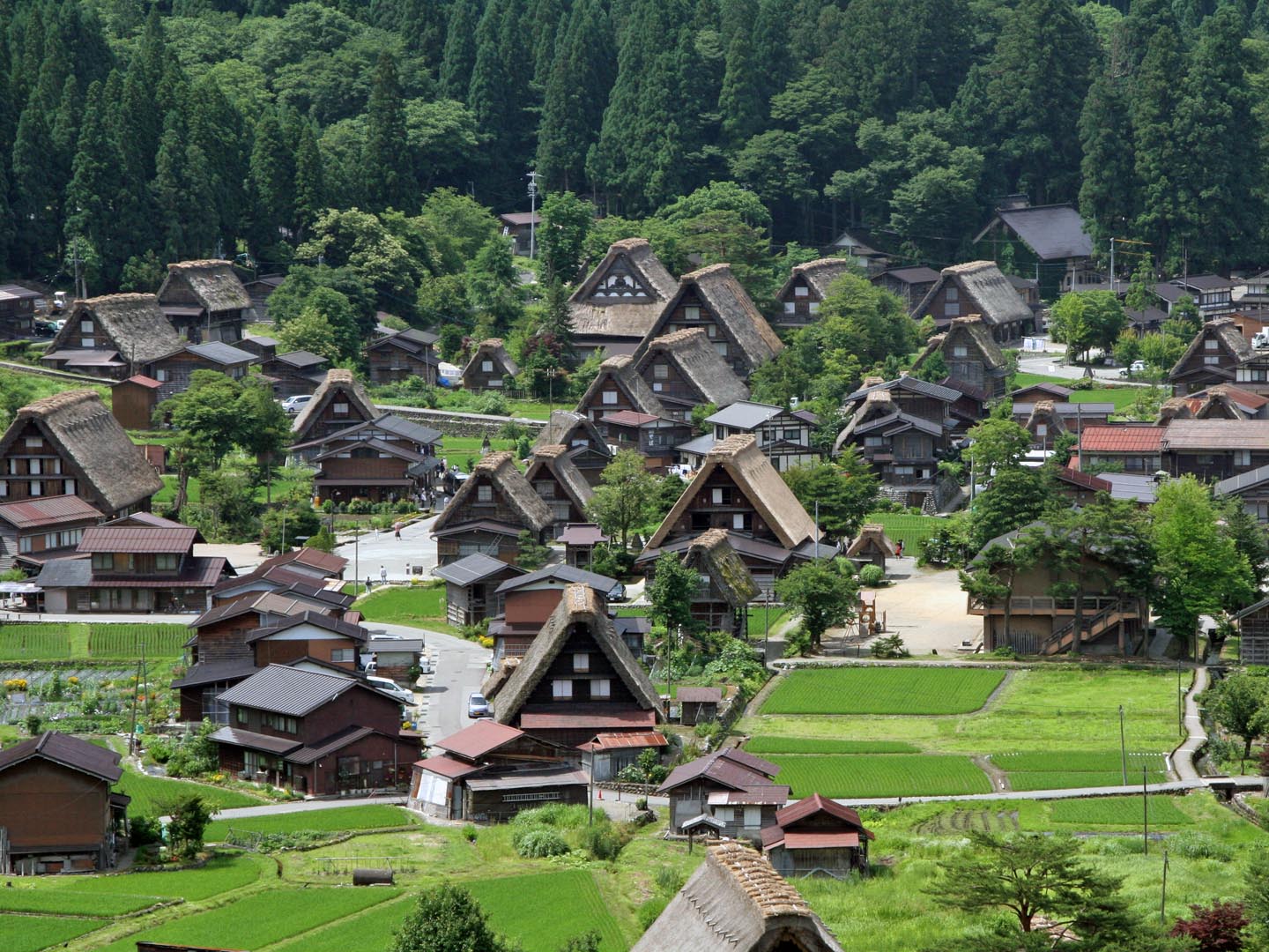 06 shirakawago