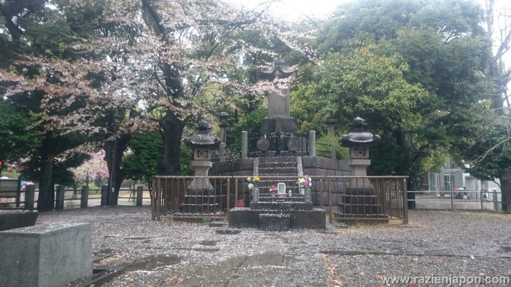¡Terminada la temporada de Sakuras y guiados!